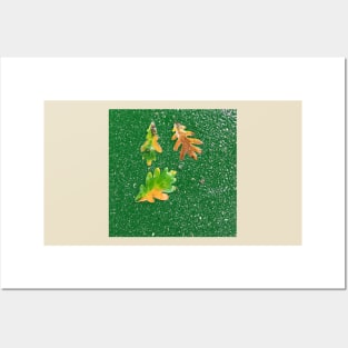 Rainy Leaves on Green Terrazzo Background Posters and Art